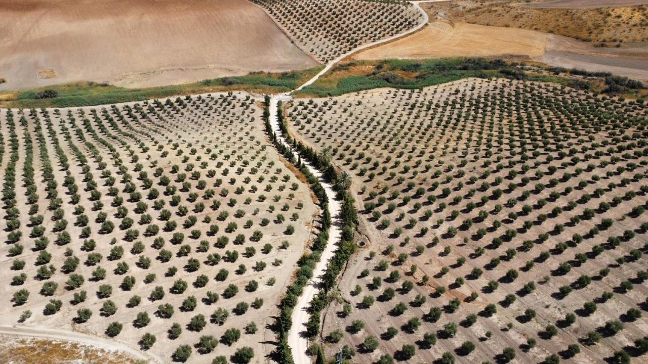 Cortijo Donana Villa La Puebla de Cazalla Bagian luar foto