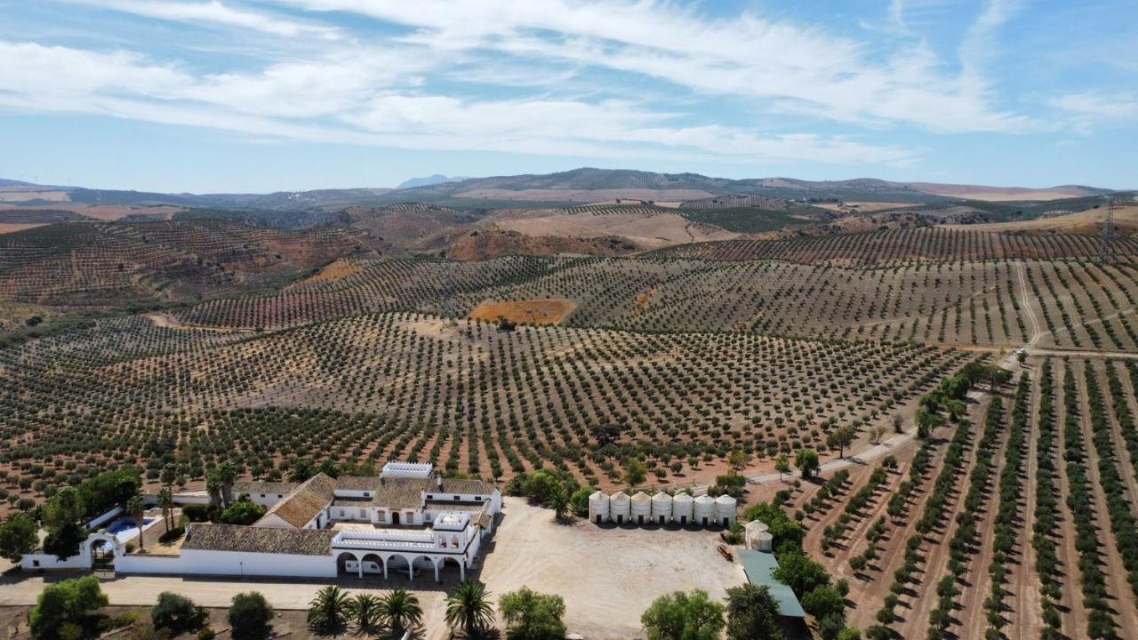 Cortijo Donana Villa La Puebla de Cazalla Bagian luar foto