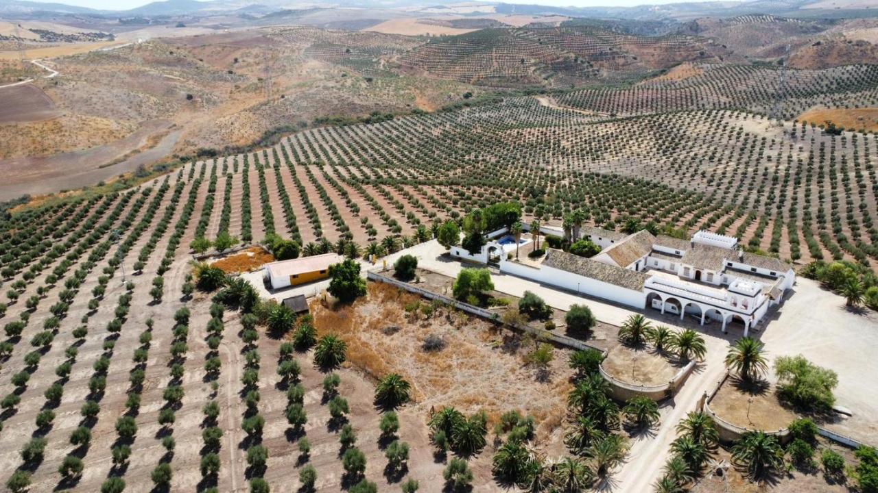 Cortijo Donana Villa La Puebla de Cazalla Bagian luar foto